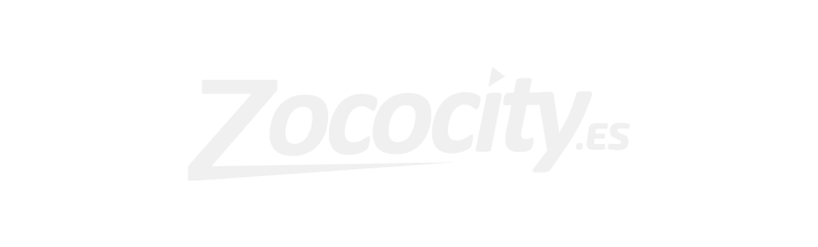 Zococity logo